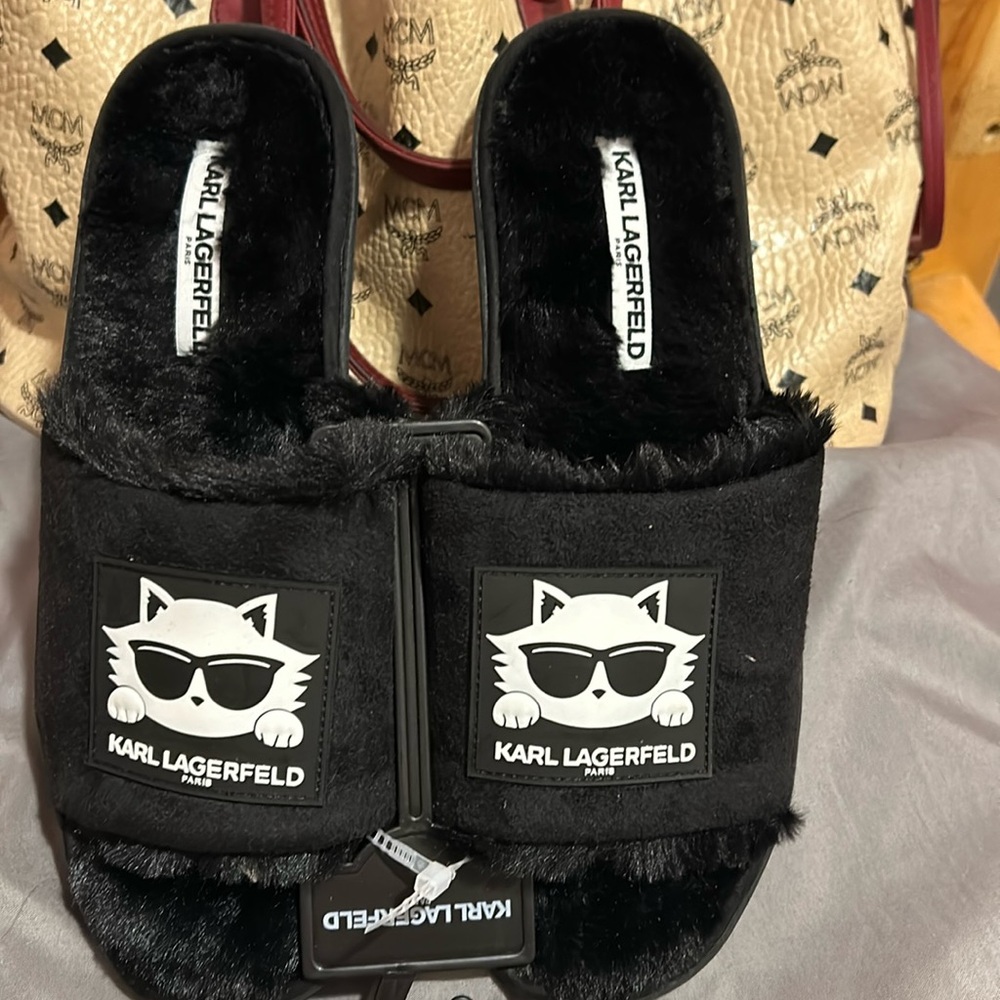 Karl Lagerfeld slides